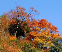 中華鼓城