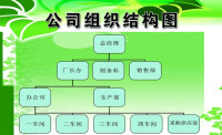 網路型組織結構