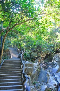 深圳鳳凰山森林公園