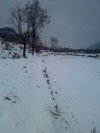 雪后釣魚台一角