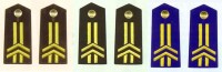 陸海空軍二級軍士長肩章(1993—1999)