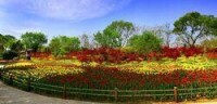 濟南植物園