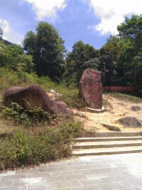 海南尖峰嶺國家森林公園