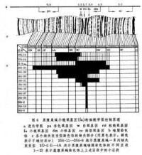 基因定位