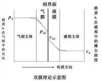 雙膜理論示意圖