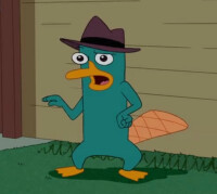 鴨嘴獸泰瑞/密探阿泰/特務P（Perry the Platypus/Agent P）