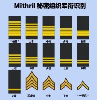 秘銀軍銜識別