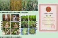 山西省高分子複合材料工程技術研究中心