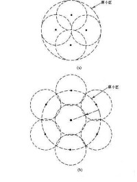 小區分裂