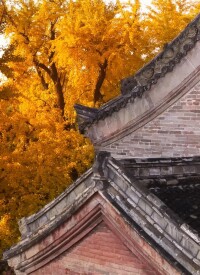 白雲寺