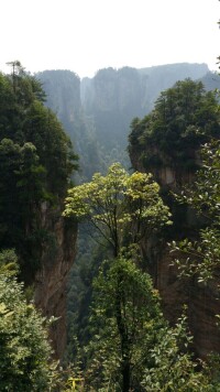 湖南張家界國家森林公園