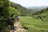 黃家灣村[雲南楚雄大姚縣三台鄉下轄村]