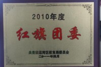 2010年度共青團荔灣區紅旗團委