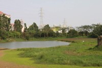綠塘河濕地公園
