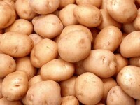 土豆粉以土豆為原料