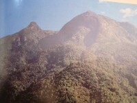 老君山國家級自然保護區林帶