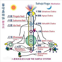 霎哈嘉瑜伽之人體精微能量系統圖