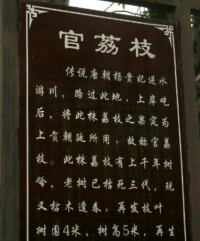 荔枝灣