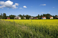 瑞典農業