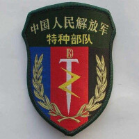 中國特種部隊臂章
