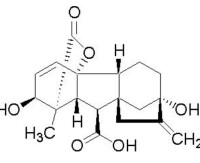 分子結構式