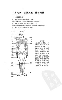 下肢全長