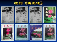 瀋陽市瀋河區蓮花小學