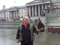 大倫敦政府的獵鷹人，用獵鷹控制鴿子。