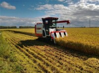 現代化農業