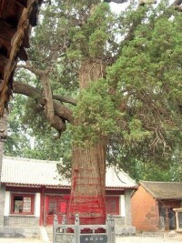 伊川書院