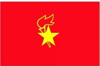 中國少年先鋒隊中隊隊旗（小三角是紅領巾）