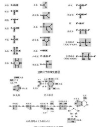 生物分子基團