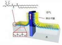 使用LB膜技術製備有機硅烷單分子層模擬