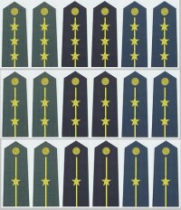 我軍2007式尉官軍銜肩章