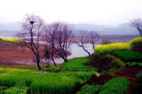 弔橋村風景