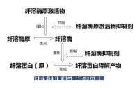 纖維蛋白溶解系統