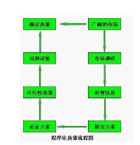 非程序化決策