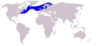 大西洋斑紋海豚分佈