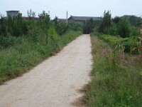 雲南省紅河蒙自縣文瀾鎮陳家寨村進村道路