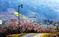 馬鞍山大青山