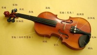 小提琴主要構件