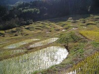 鴨川市