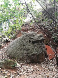 龍頭山森林公園風景