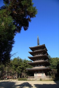 醍醐寺