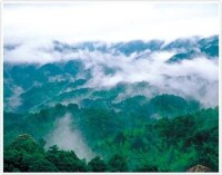 （圖）南崑山國家森林公園