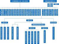 安徽皖維集團有限責任公司