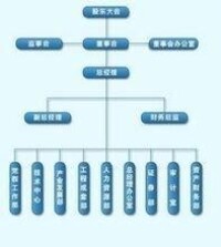 上海輸配電股份有限公司組織結構