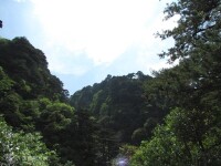 舜皇山森林公園