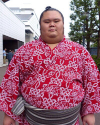 日本相撲選手千代丸