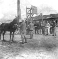 載濤視察軍馬場鄭新潮（右三）載濤（右七）